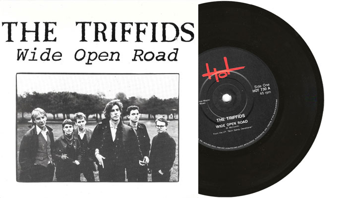 The Triffids - Wide Open Road - 7" vinyl single from 1986